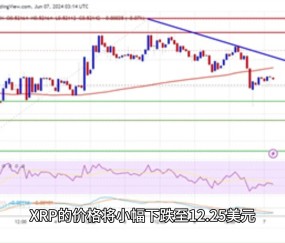 开云官网-包含XRP遭遇大幅下滑超467%，投资者恐慌性抛售，引发热议的词条